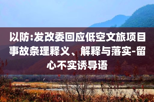 以防:發(fā)改委回應(yīng)低空文旅項(xiàng)目事故條理釋義、解釋與落實(shí)-留心不實(shí)誘導(dǎo)語