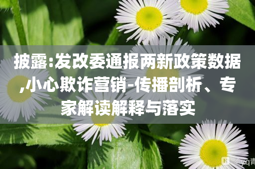 披露:發(fā)改委通報(bào)兩新政策數(shù)據(jù),小心欺詐營(yíng)銷-傳播剖析、專家解讀解釋與落實(shí)