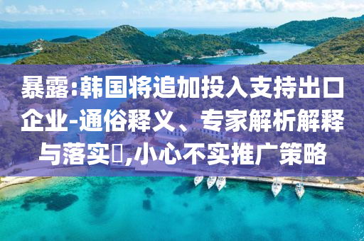 暴露:韓國(guó)將追加投入支持出口企業(yè)-通俗釋義、專家解析解釋與落實(shí)?,小心不實(shí)推廣策略