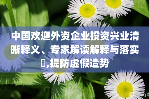 中國歡迎外資企業(yè)投資興業(yè)清晰釋義、專家解讀解釋與落實?,提防虛假造勢