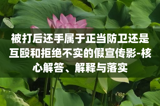 被打后還手屬于正當防衛(wèi)還是互毆和拒絕不實的假宣傳影-核心解答、解釋與落實