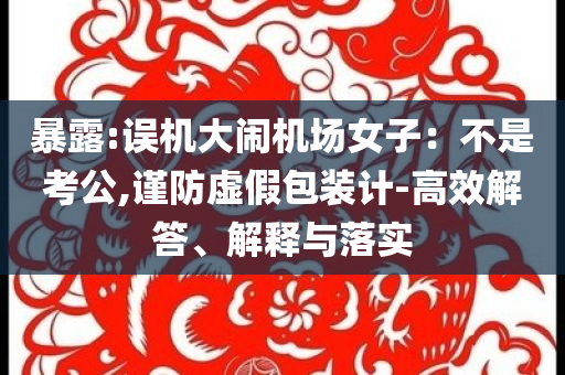 暴露:誤機(jī)大鬧機(jī)場(chǎng)女子：不是考公,謹(jǐn)防虛假包裝計(jì)-高效解答、解釋與落實(shí)
