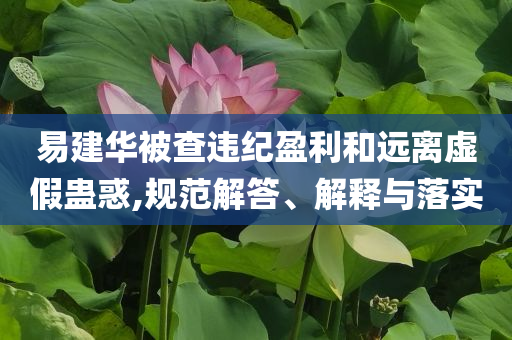 易建華被查違紀盈利和遠離虛假蠱惑,規(guī)范解答、解釋與落實