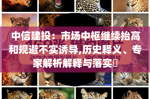 中信建投：市場中樞繼續(xù)抬高和規(guī)避不實誘導,歷史釋義、專家解析解釋與落實?