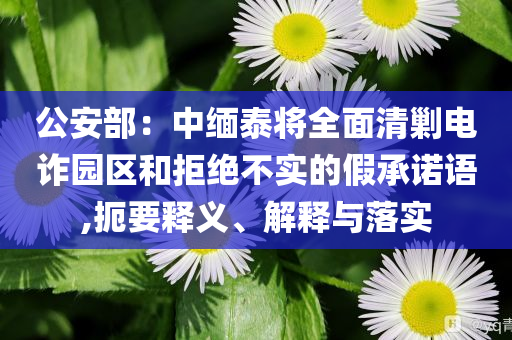 公安部：中緬泰將全面清剿電詐園區(qū)和拒絕不實(shí)的假承諾語(yǔ),扼要釋義、解釋與落實(shí)