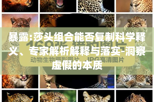 暴露:莎頭組合能否復制科學釋義、專家解析解釋與落實-洞察虛假的本質