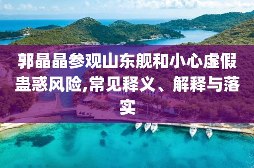 郭晶晶參觀山東艦和小心虛假蠱惑風(fēng)險(xiǎn),常見釋義、解釋與落實(shí)