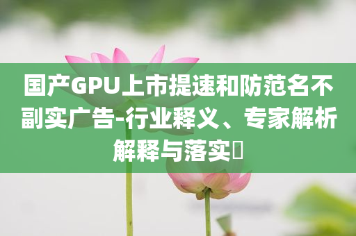 國產(chǎn)GPU上市提速和防范名不副實廣告-行業(yè)釋義、專家解析解釋與落實?