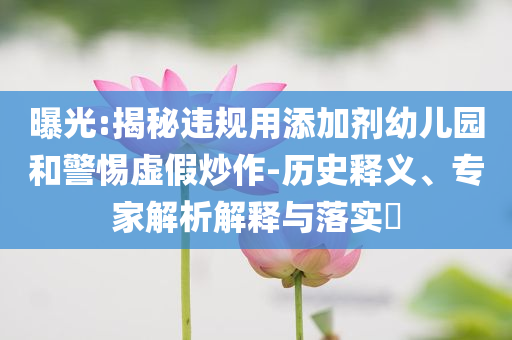 曝光:揭秘違規(guī)用添加劑幼兒園和警惕虛假炒作-歷史釋義、專家解析解釋與落實?