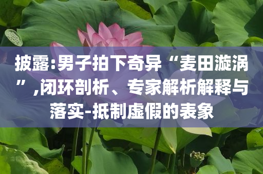 披露:男子拍下奇異“麥田漩渦”,閉環(huán)剖析、專家解析解釋與落實(shí)-抵制虛假的表象