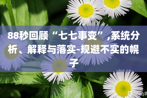 88秒回顧“七七事變”,系統(tǒng)分析、解釋與落實(shí)-規(guī)避不實(shí)的幌子