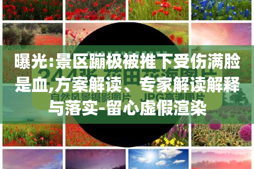 曝光:景區(qū)蹦極被推下受傷滿臉是血,方案解讀、專家解讀解釋與落實(shí)-留心虛假渲染