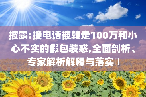 披露:接電話被轉(zhuǎn)走100萬(wàn)和小心不實(shí)的假包裝惑,全面剖析、專家解析解釋與落實(shí)?