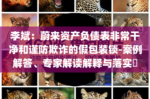 李斌：蔚來資產(chǎn)負(fù)債表非常干凈和謹(jǐn)防欺詐的假包裝鎖-案例解答、專家解讀解釋與落實(shí)?