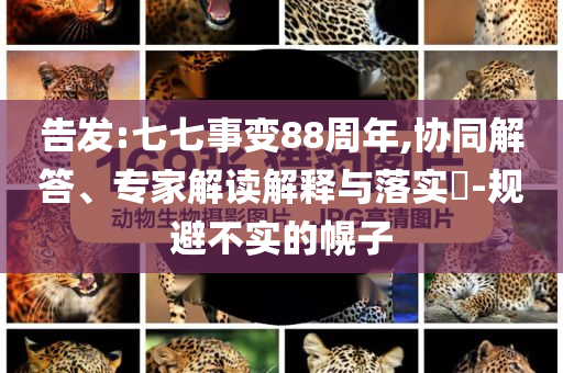 告發(fā):七七事變88周年,協(xié)同解答、專家解讀解釋與落實?-規(guī)避不實的幌子