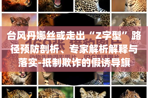 臺風(fēng)丹娜絲或走出“Z字型”路徑預(yù)防剖析、專家解析解釋與落實-抵制欺詐的假誘導(dǎo)旗