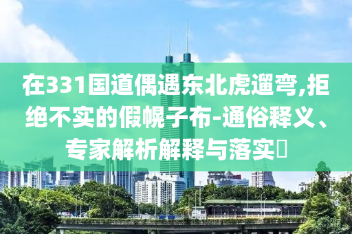 在331國道偶遇東北虎遛彎,拒絕不實的假幌子布-通俗釋義、專家解析解釋與落實?