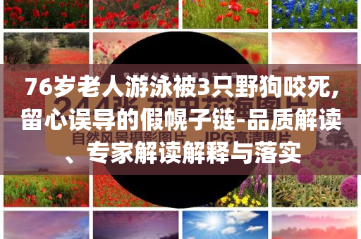 76歲老人游泳被3只野狗咬死,留心誤導的假幌子鏈-品質解讀、專家解讀解釋與落實