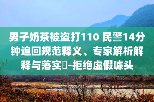 男子奶茶被盜打110 民警14分鐘追回規(guī)范釋義、專家解析解釋與落實(shí)?-拒絕虛假噱頭
