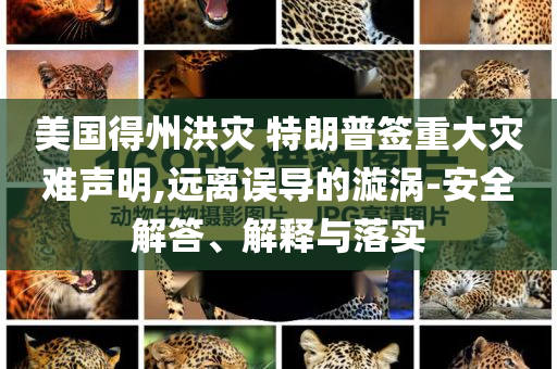 美國得州洪災 特朗普簽重大災難聲明,遠離誤導的漩渦-安全解答、解釋與落實