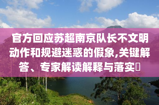 官方回應(yīng)蘇超南京隊(duì)長(zhǎng)不文明動(dòng)作和規(guī)避迷惑的假象,關(guān)鍵解答、專(zhuān)家解讀解釋與落實(shí)?