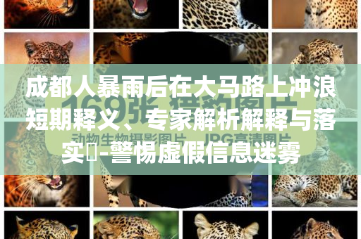 成都人暴雨后在大馬路上沖浪短期釋義、專家解析解釋與落實?-警惕虛假信息迷霧