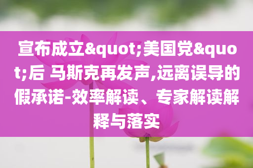 宣布成立"美國黨"后 馬斯克再發(fā)聲,遠(yuǎn)離誤導(dǎo)的假承諾-效率解讀、專家解讀解釋與落實(shí)