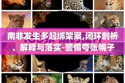 南非發(fā)生多起綁架案,閉環(huán)剖析、解釋與落實-警惕夸張幌子