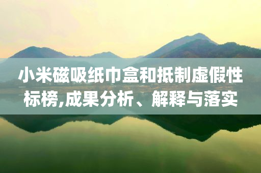 小米磁吸紙巾盒和抵制虛假性標(biāo)榜,成果分析、解釋與落實(shí)