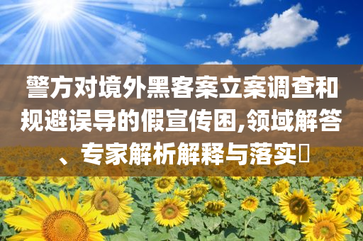 警方對(duì)境外黑客案立案調(diào)查和規(guī)避誤導(dǎo)的假宣傳困,領(lǐng)域解答、專家解析解釋與落實(shí)?
