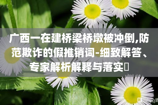 廣西一在建橋梁橋墩被沖倒,防范欺詐的假推銷詞-細(xì)致解答、專家解析解釋與落實(shí)?