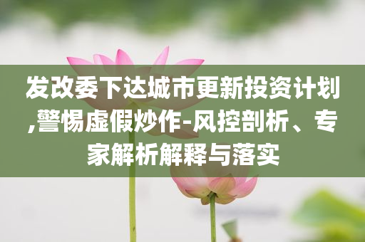 發(fā)改委下達(dá)城市更新投資計(jì)劃,警惕虛假炒作-風(fēng)控剖析、專家解析解釋與落實(shí)