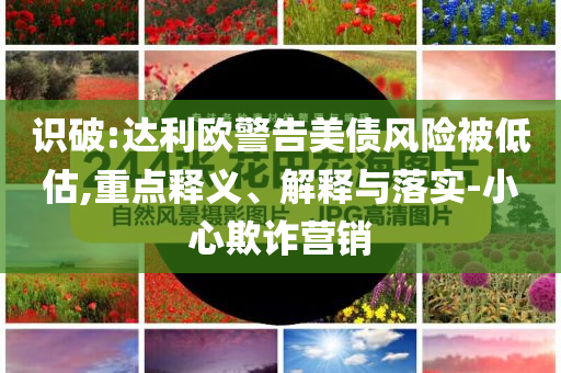識(shí)破:達(dá)利歐警告美債風(fēng)險(xiǎn)被低估,重點(diǎn)釋義、解釋與落實(shí)-小心欺詐營(yíng)銷
