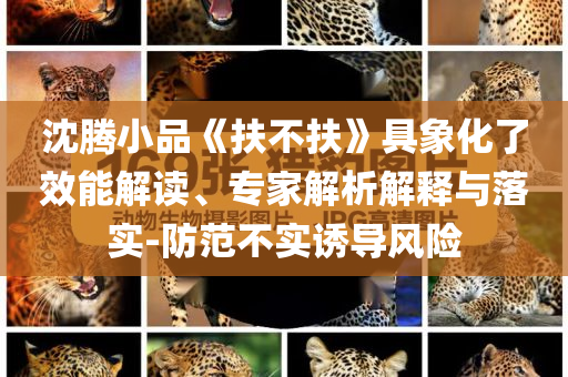 沈騰小品《扶不扶》具象化了效能解讀、專家解析解釋與落實-防范不實誘導(dǎo)風(fēng)險