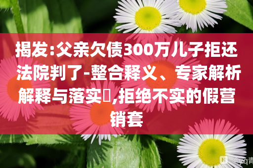 揭發(fā):父親欠債300萬兒子拒還 法院判了-整合釋義、專家解析解釋與落實(shí)?,拒絕不實(shí)的假營銷套