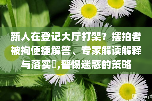 新人在登記大廳打架？擺拍者被拘便捷解答、專家解讀解釋與落實?,警惕迷惑的策略