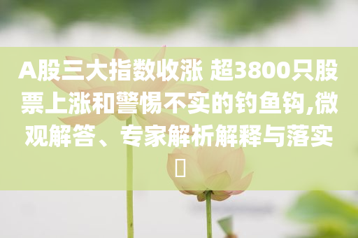 A股三大指數(shù)收漲 超3800只股票上漲和警惕不實的釣魚鉤,微觀解答、專家解析解釋與落實?
