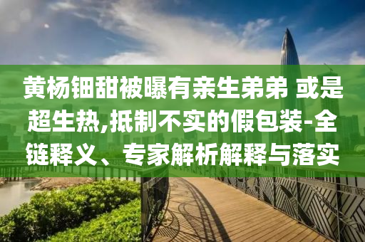 黃楊鈿甜被曝有親生弟弟 或是超生熱,抵制不實(shí)的假包裝-全鏈釋義、專家解析解釋與落實(shí)