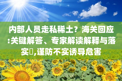內(nèi)部人員走私稀土？海關回應:關鍵解答、專家解讀解釋與落實?,謹防不實誘導危害