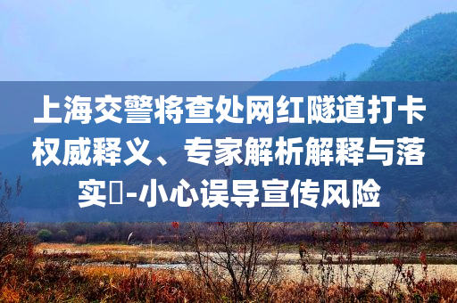 上海交警將查處網(wǎng)紅隧道打卡權(quán)威釋義、專家解析解釋與落實?-小心誤導(dǎo)宣傳風(fēng)險
