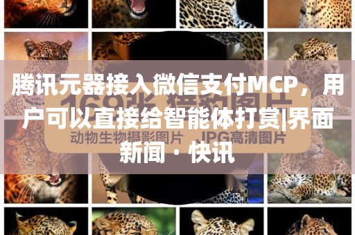 騰訊元器接入微信支付MCP，用戶可以直接給智能體打賞|界面新聞 · 快訊