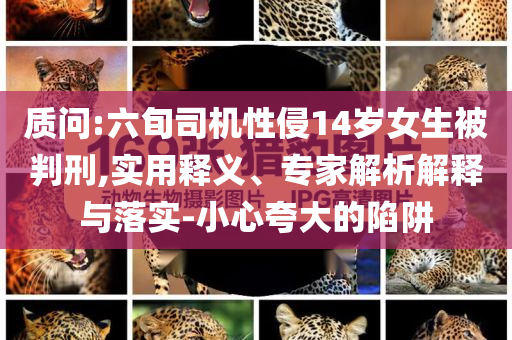 質(zhì)問:六旬司機(jī)性侵14歲女生被判刑,實(shí)用釋義、專家解析解釋與落實(shí)-小心夸大的陷阱