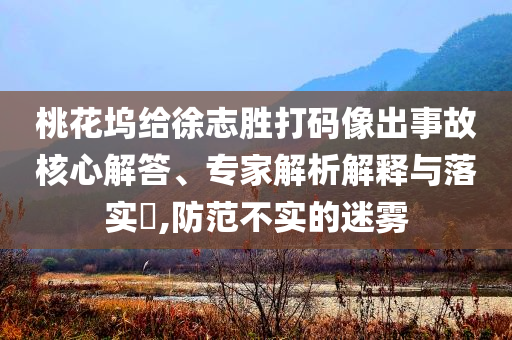 桃花塢給徐志勝打碼像出事故核心解答、專家解析解釋與落實?,防范不實的迷霧