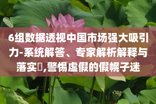 6組數據透視中國市場強大吸引力-系統(tǒng)解答、專家解析解釋與落實?,警惕虛假的假幌子迷