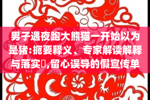男子遇夜跑大熊貓一開始以為是豬:扼要釋義、專家解讀解釋與落實(shí)?,留心誤導(dǎo)的假宣傳單