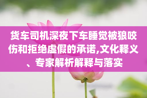 貨車司機(jī)深夜下車睡覺被狼咬傷和拒絕虛假的承諾,文化釋義、專家解析解釋與落實(shí)