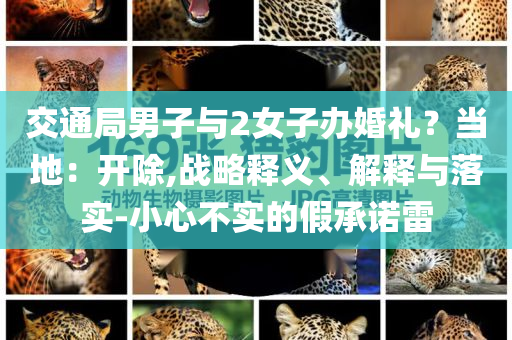 交通局男子與2女子辦婚禮？當?shù)兀洪_除,戰(zhàn)略釋義、解釋與落實-小心不實的假承諾雷