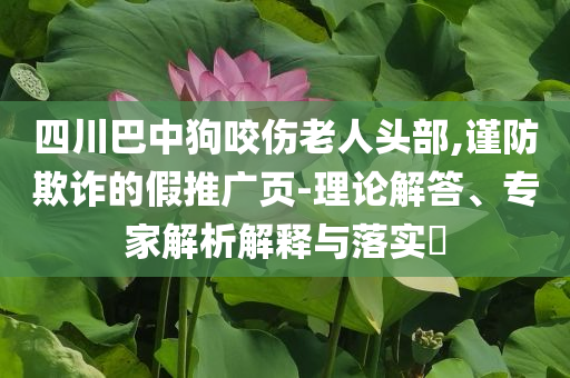 四川巴中狗咬傷老人頭部,謹防欺詐的假推廣頁-理論解答、專家解析解釋與落實?