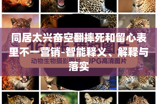 同居太興奮空翻摔死和留心表里不一營銷-智能釋義、解釋與落實(shí)
