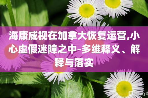 ?？低曉诩幽么蠡謴?fù)運(yùn)營,小心虛假迷障之中-多維釋義、解釋與落實(shí)